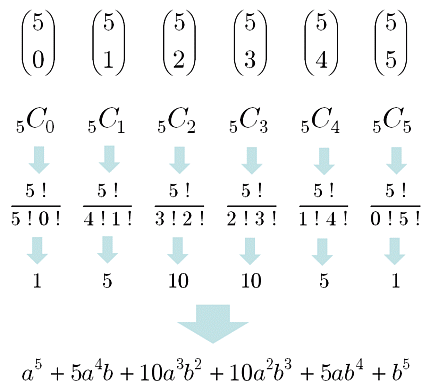 二項定理 二項係数 を計算する 大人が学び直す数学